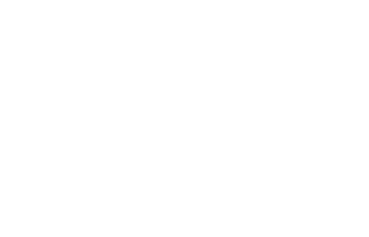 We are professionals serving professionals.